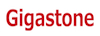 Gigastone microSD Cards